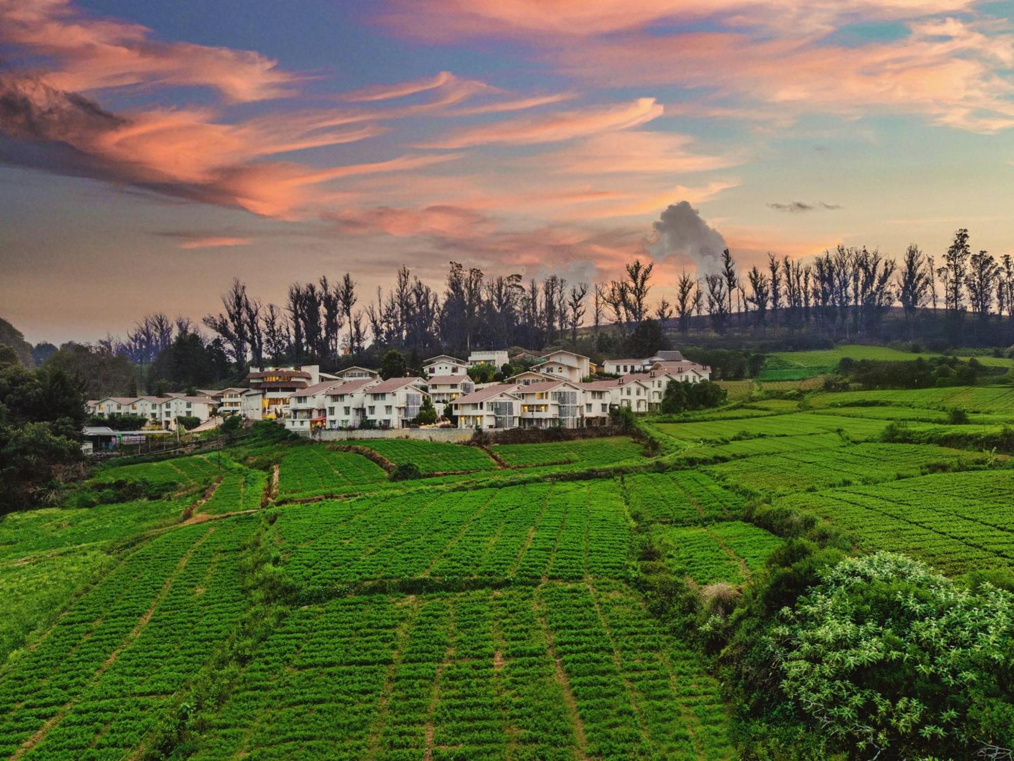 Mango Hill Shola Ooty 호텔 외부 사진